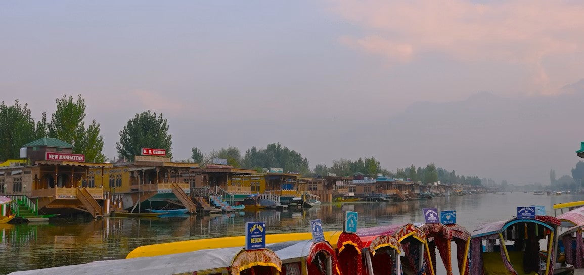 Exploring the Flora of Kashmir: A Living Paradise of the Himalayas