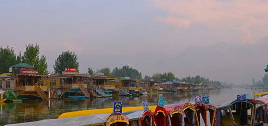 Exploring the Flora of Kashmir: A Living Paradise of the Himalayas