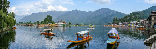 Beyond the Beauty: What You Should Know About Visiting Kashmir