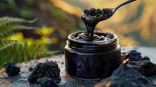 Shilajit: Nature’s Secret to Energy, Vitality, and Longevity