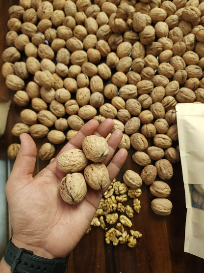 Walnuts (Shelled)