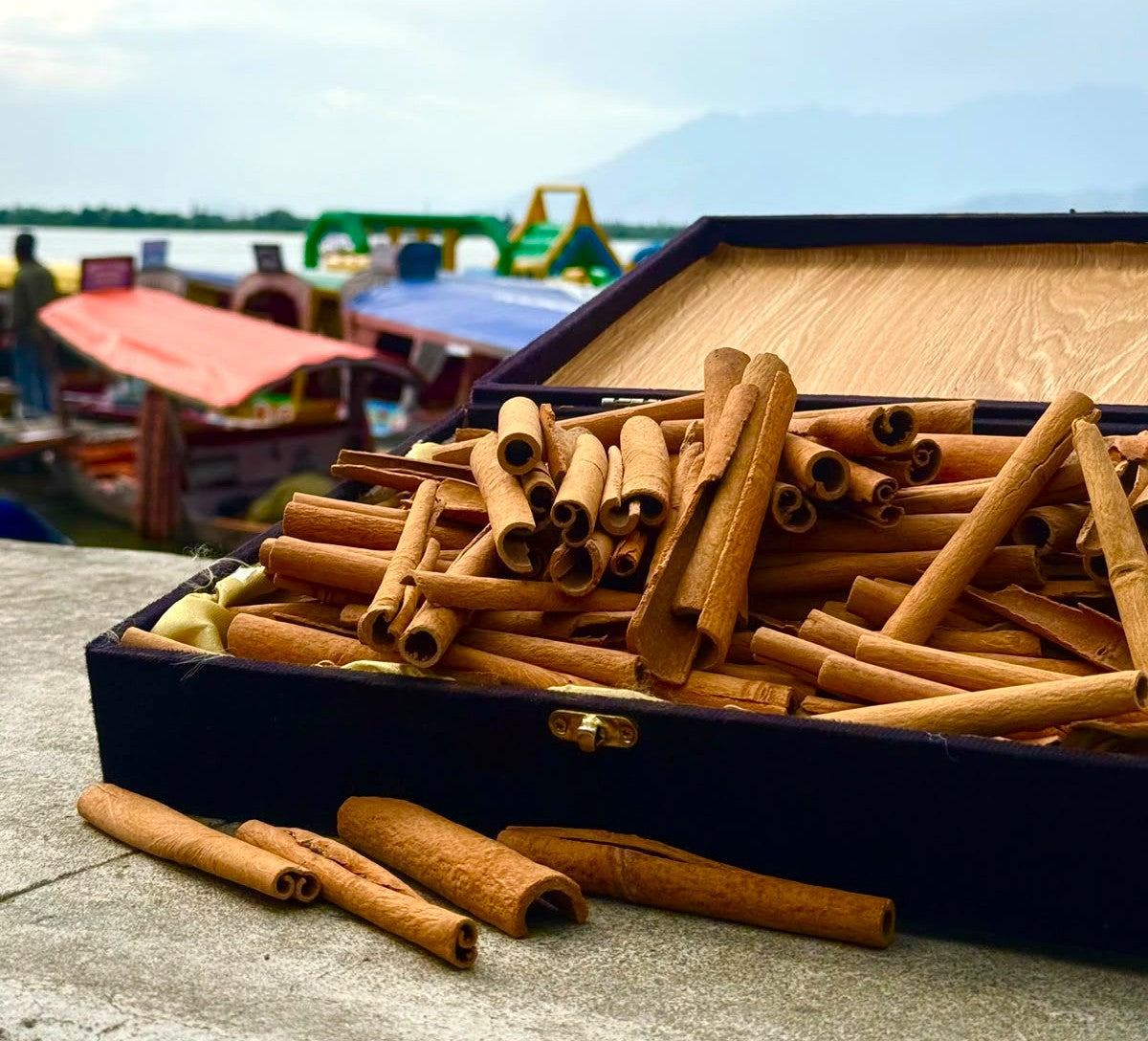 Cinnamon Sticks (Dalchini)