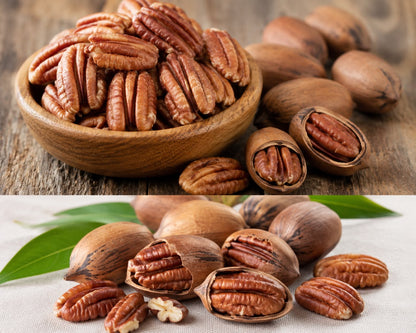 Premium Pecan Nuts – Fresh, Natural & Crunchy