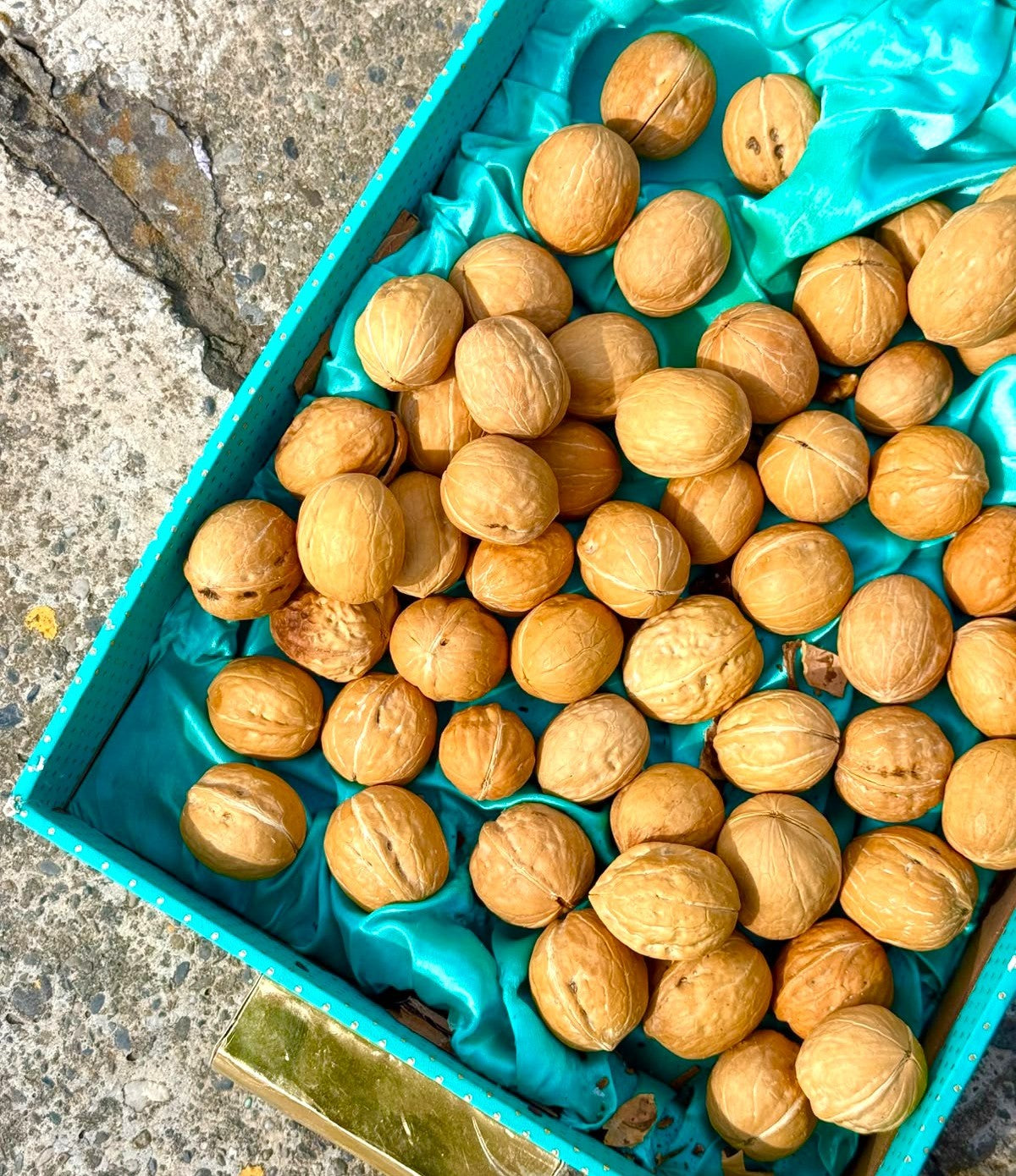 Walnuts (Shelled)
