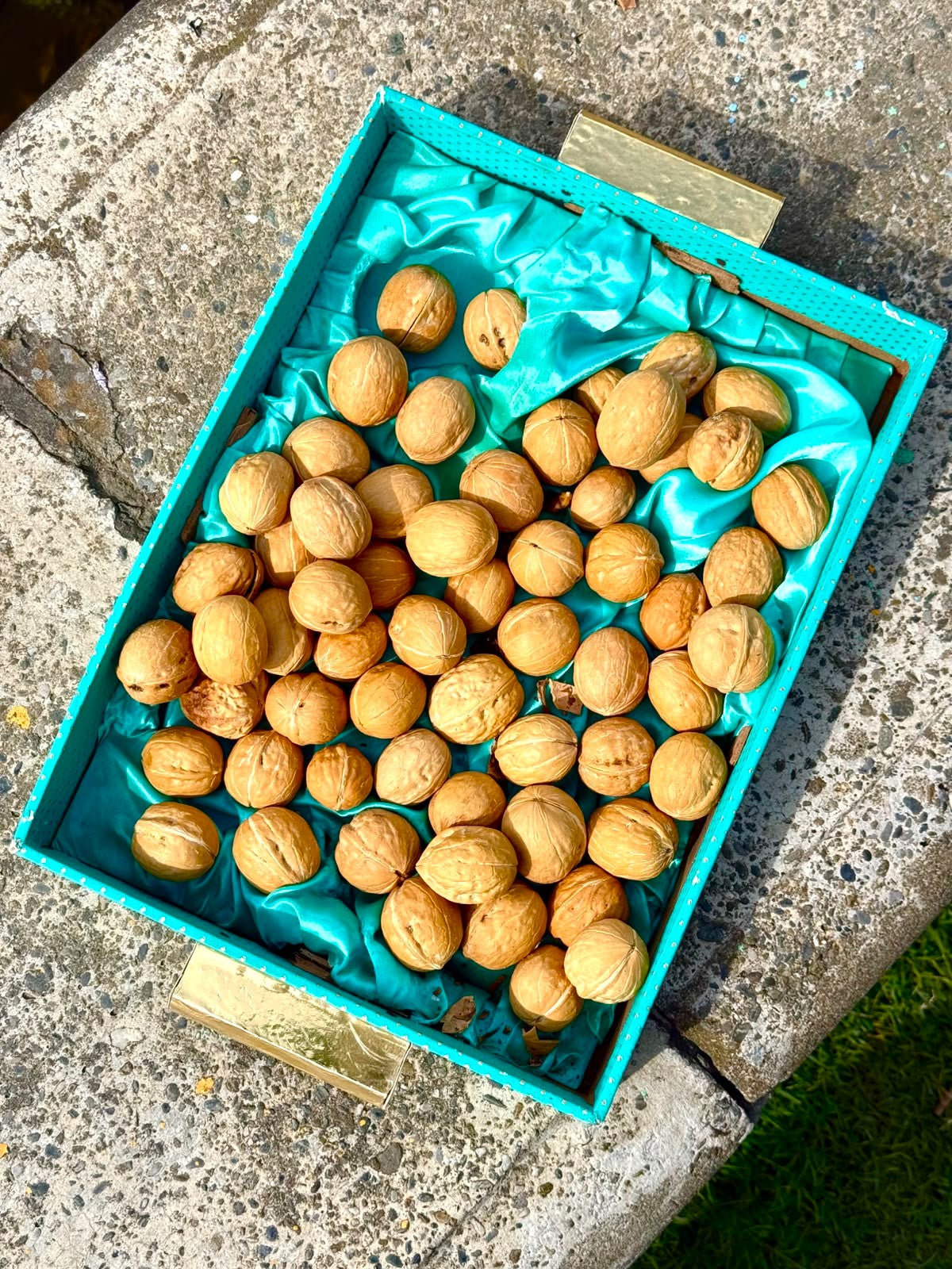 Walnuts (Shelled)