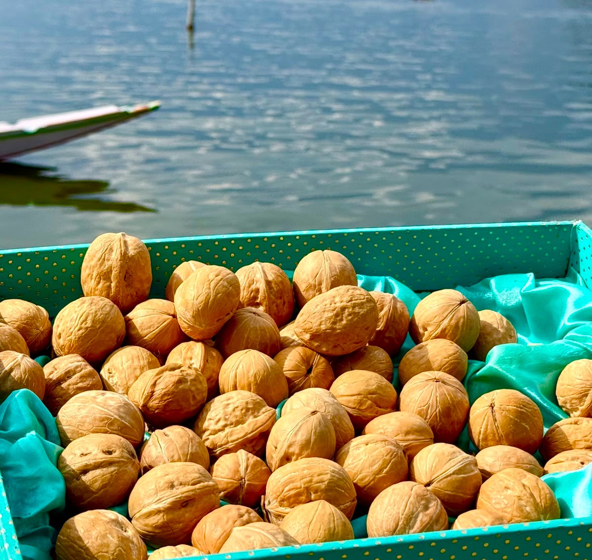 Walnuts (Shelled)