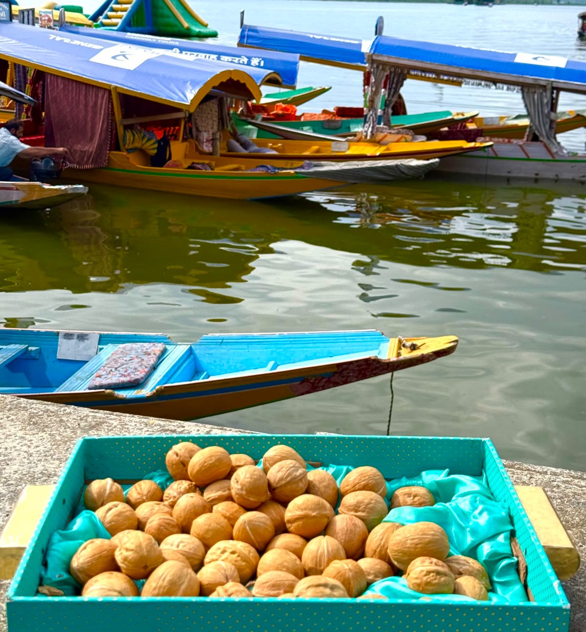 Walnuts (Shelled)
